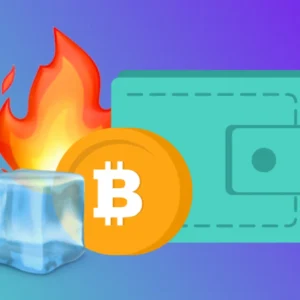 hot vs cold wallet