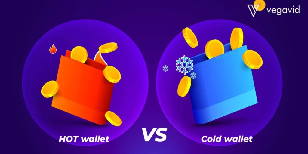hot vs cold wallet